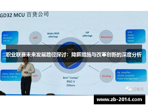 职业联赛未来发展路径探讨：降薪措施与改革创新的深度分析